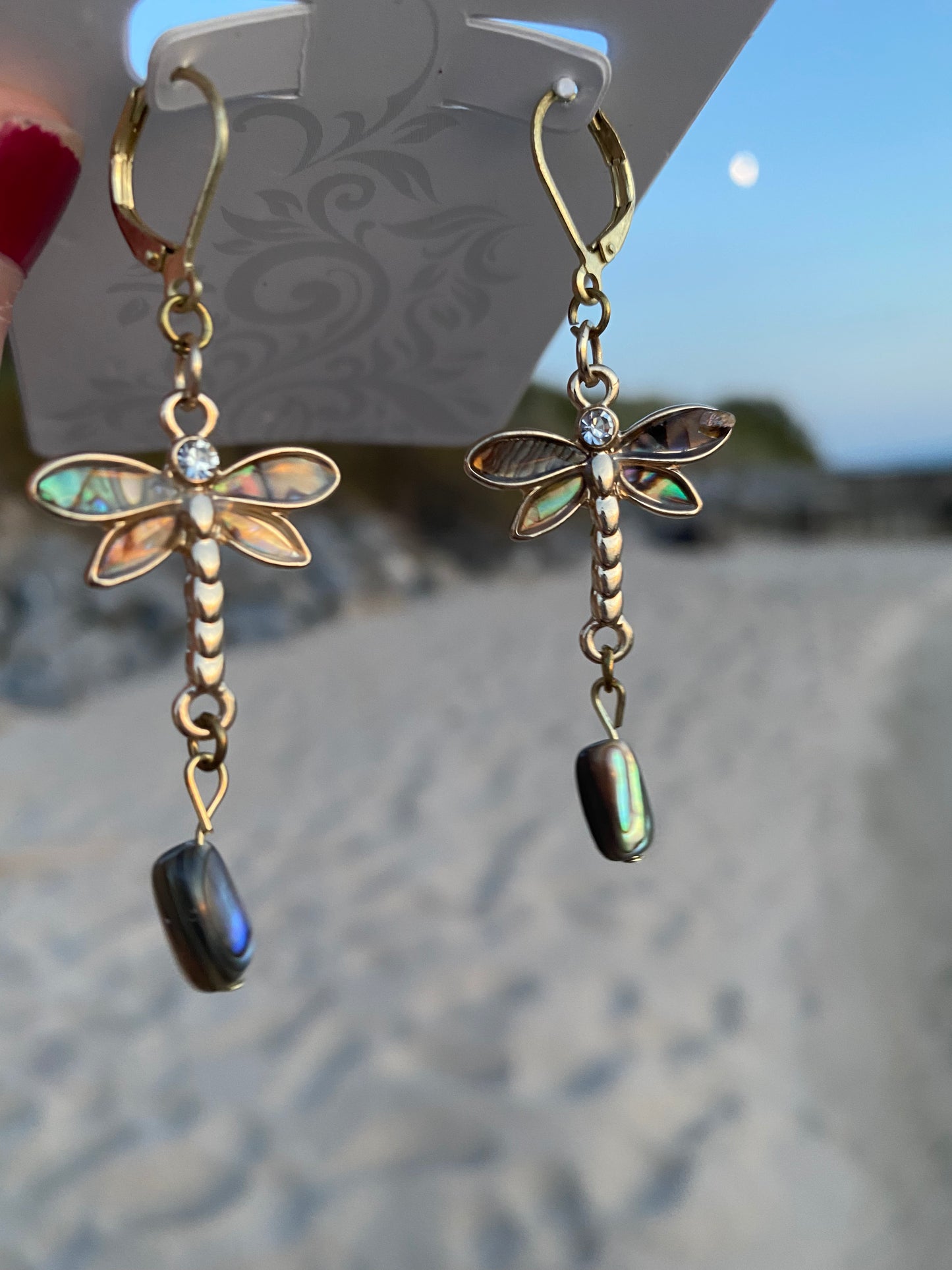 Petite Abalone Dragonflies